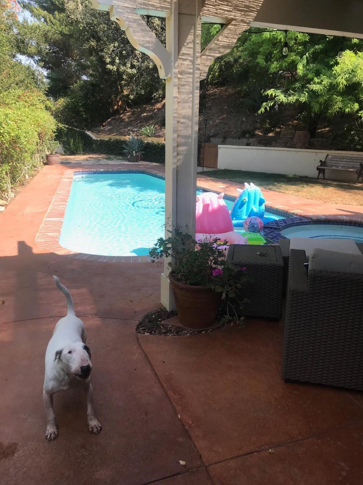 Thousand Oaks House — photo 1