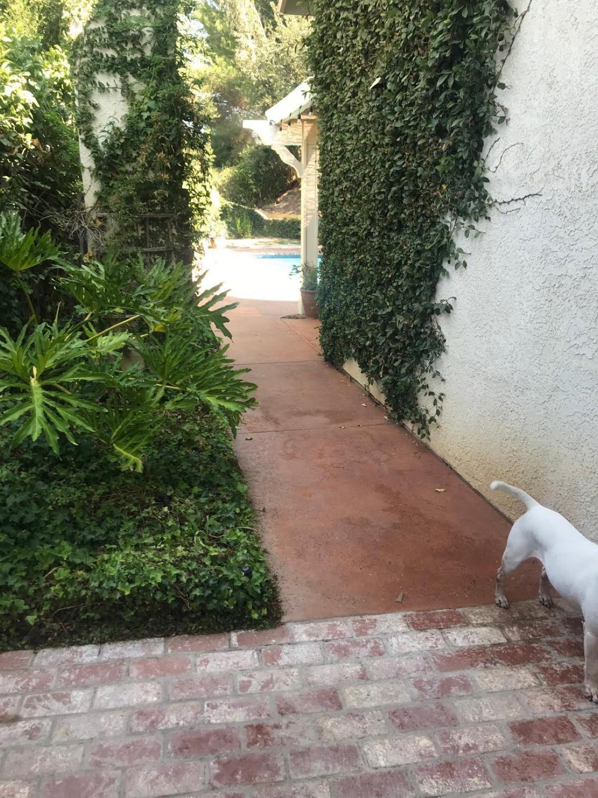 Thousand Oaks House — photo 11