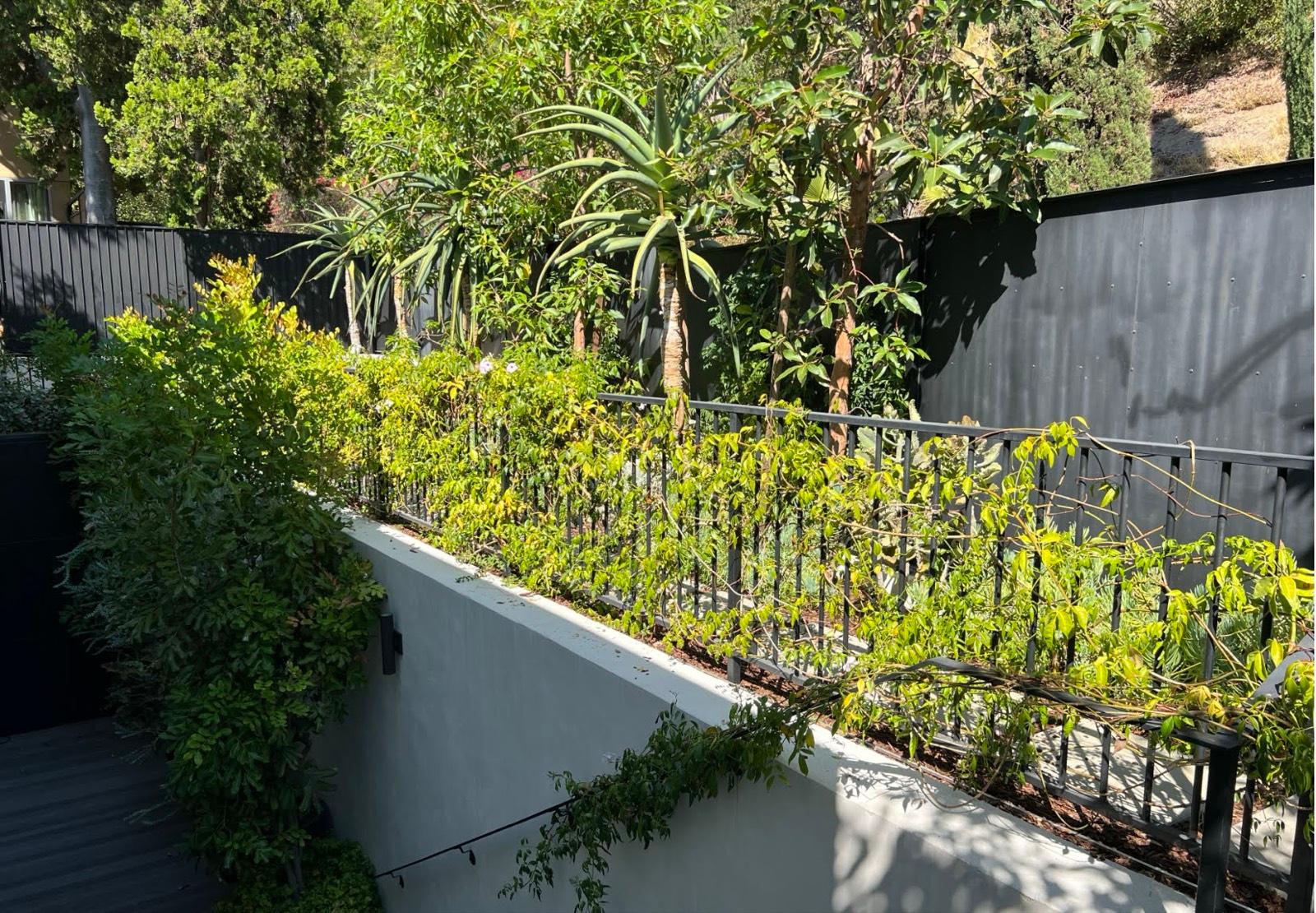 Tom's Modern Garden Home — photo 12