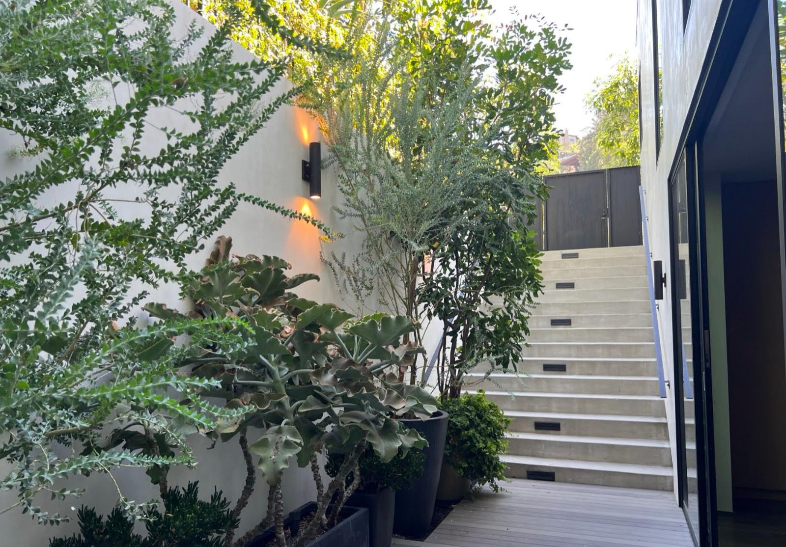 Tom's Modern Garden Home — photo 4