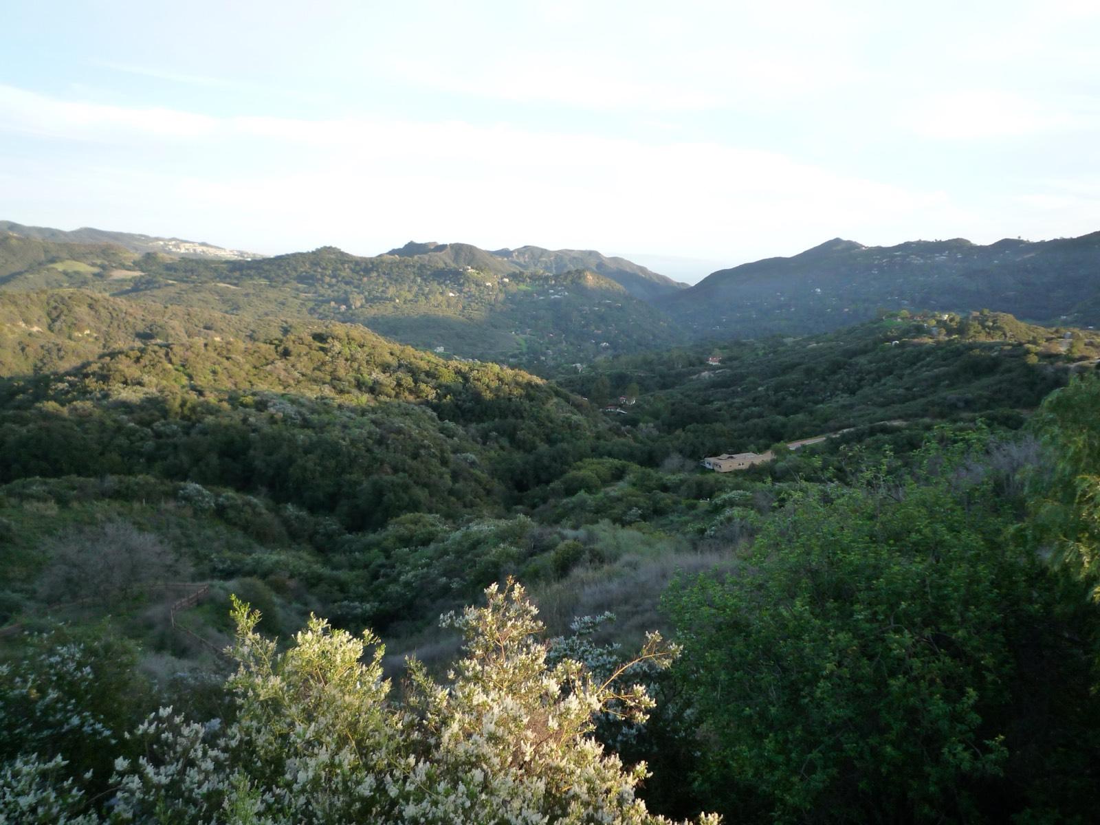 Topanga House — photo 11