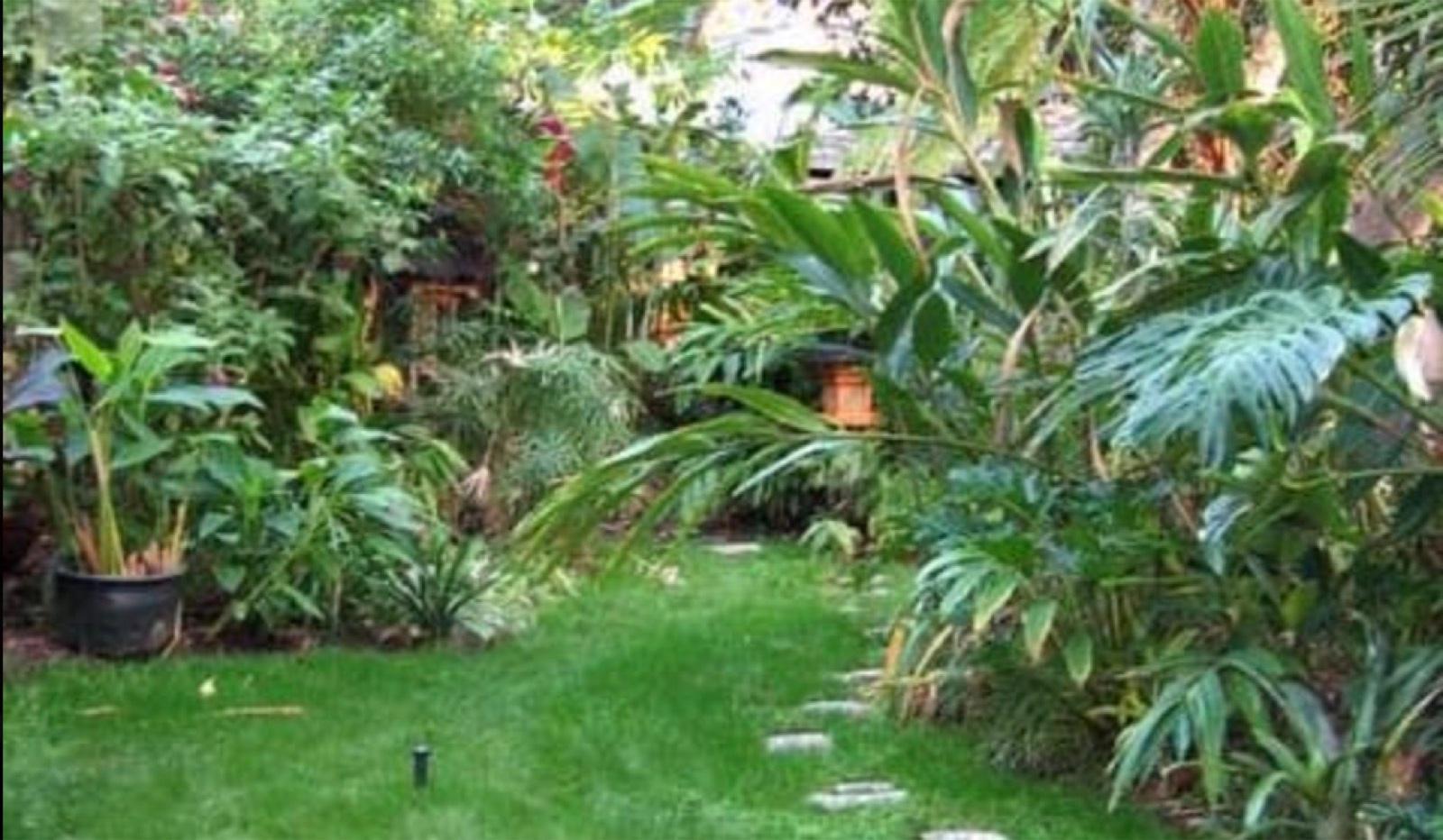 Tropical Hollywood House — photo 3
