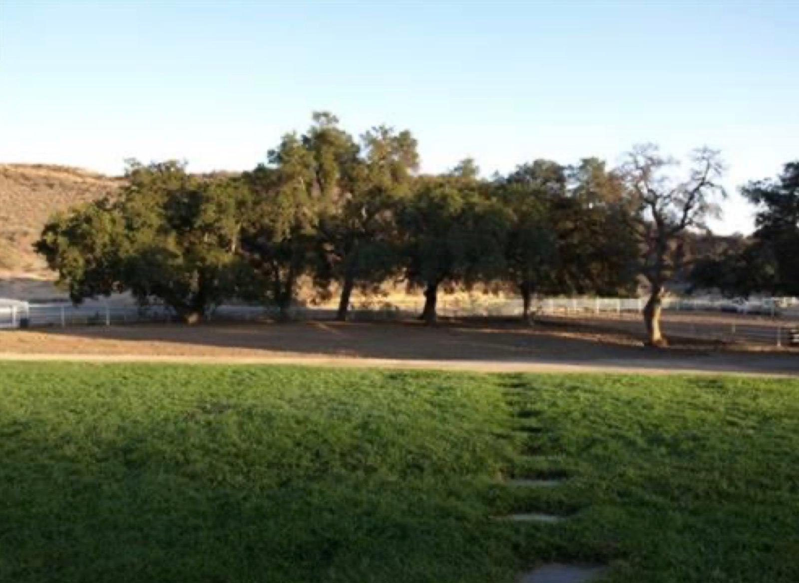 T's Victorian Ranch — photo 2