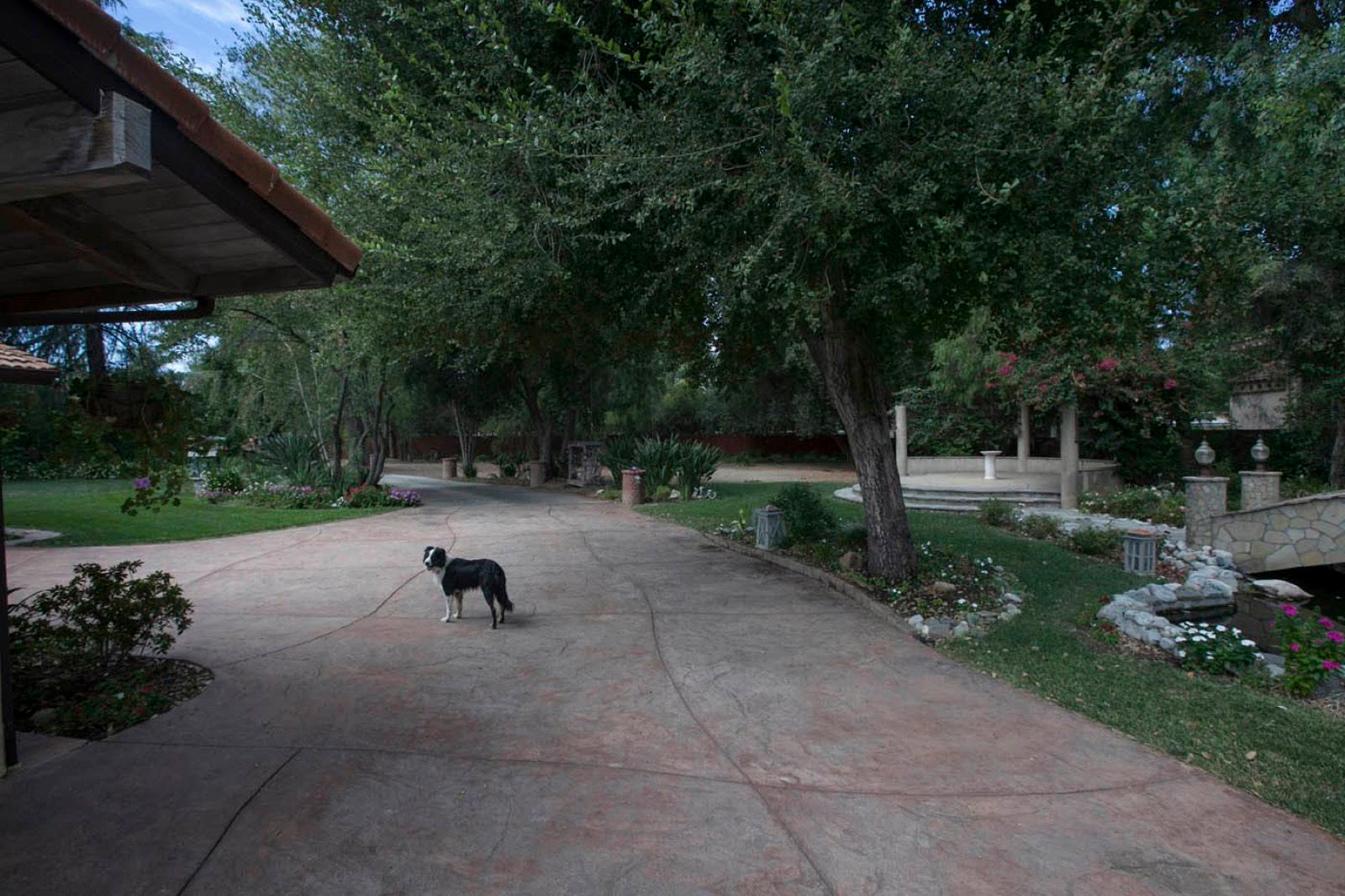 Two Properties House — photo 4
