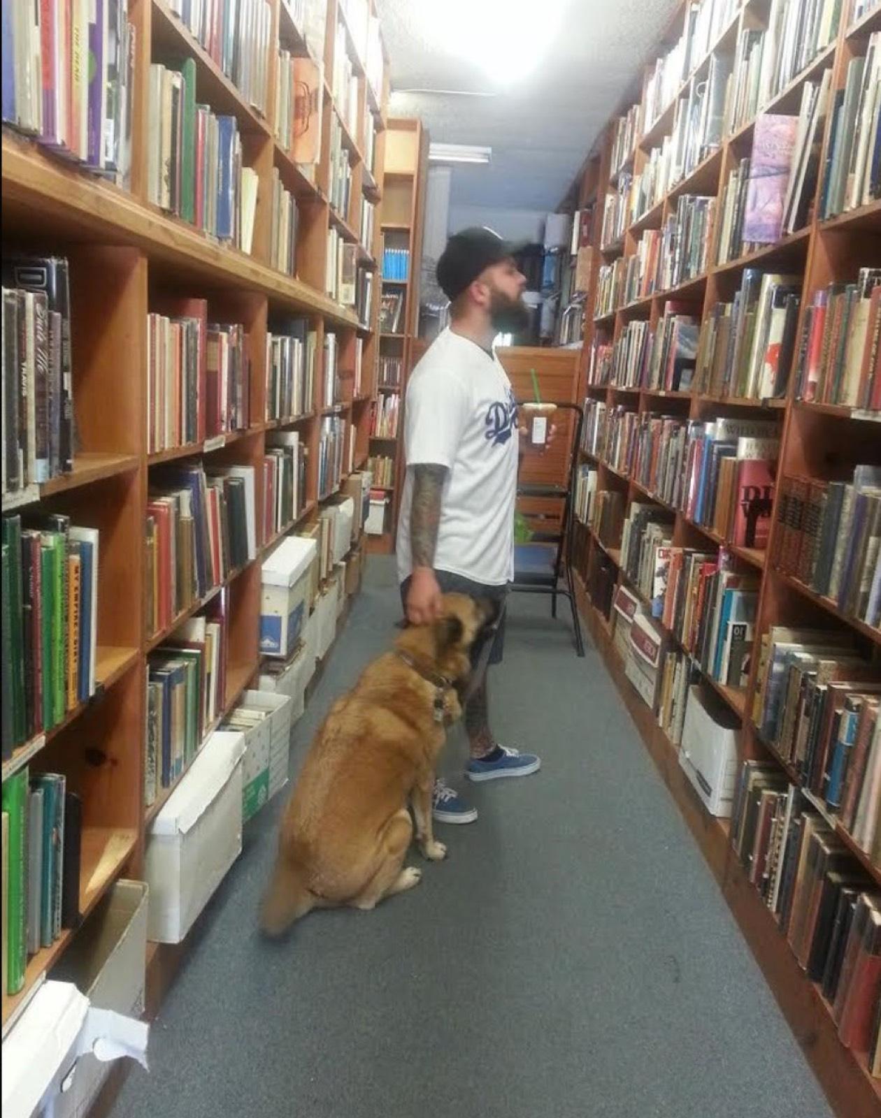 Valley Bookstore — photo 5