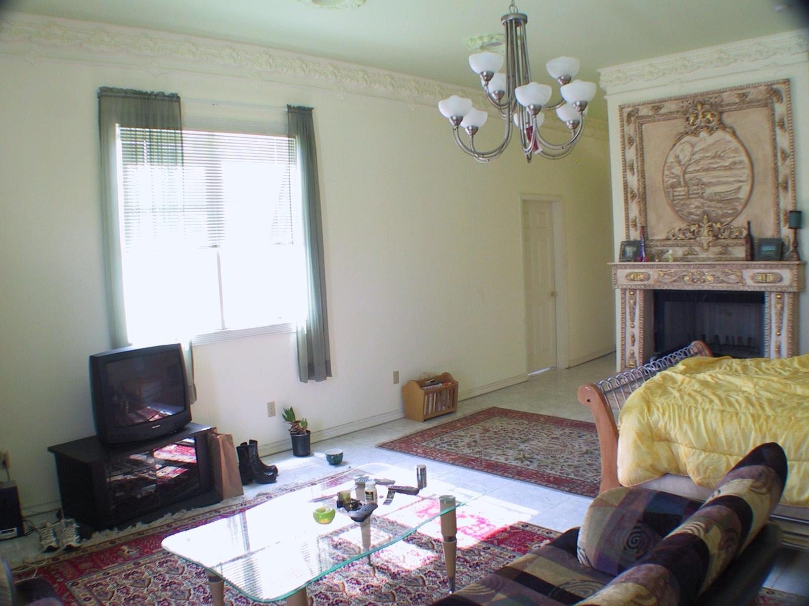 Valley Huge Mansion — photo 10