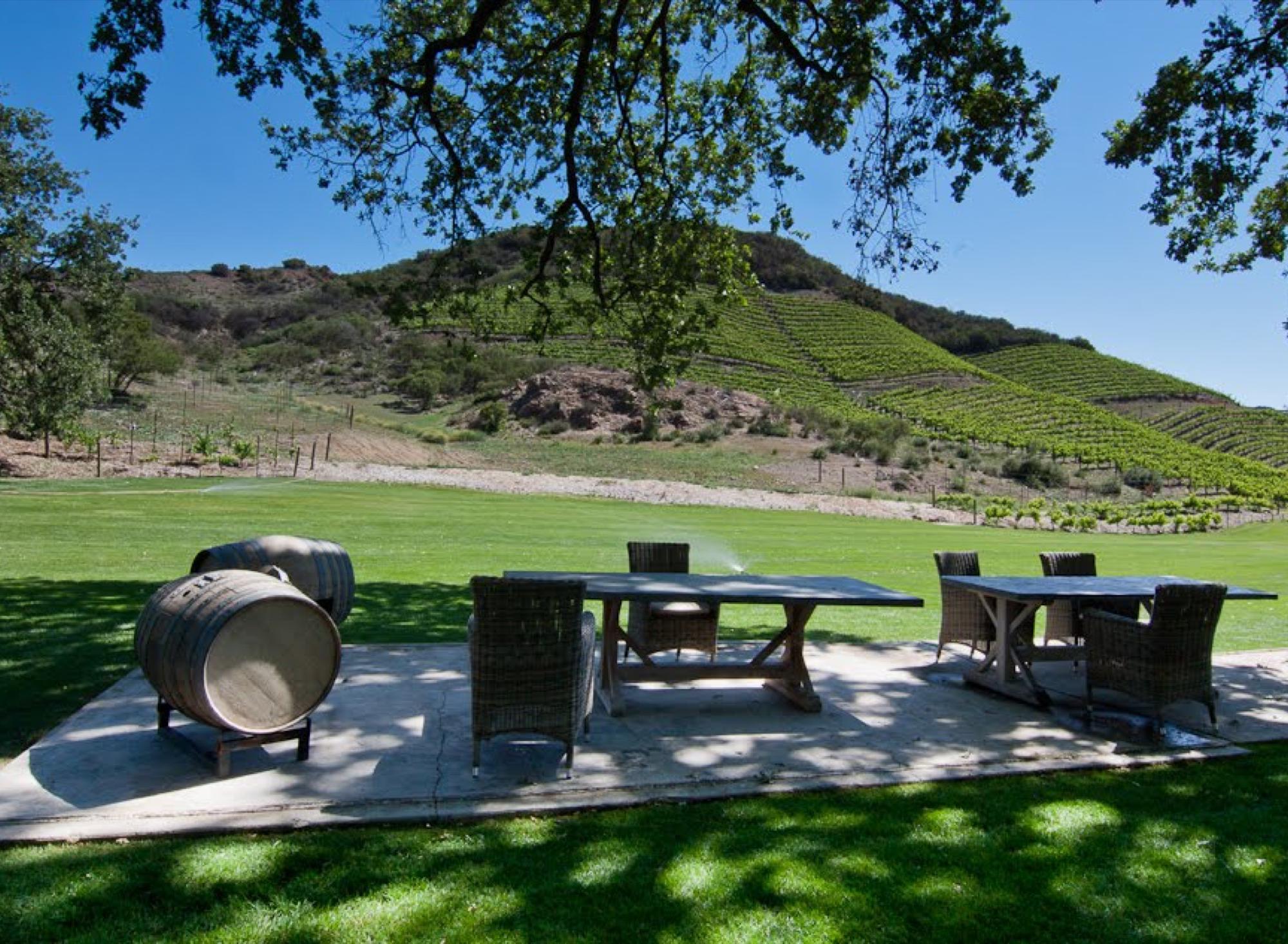 Vineyard Property — photo 12