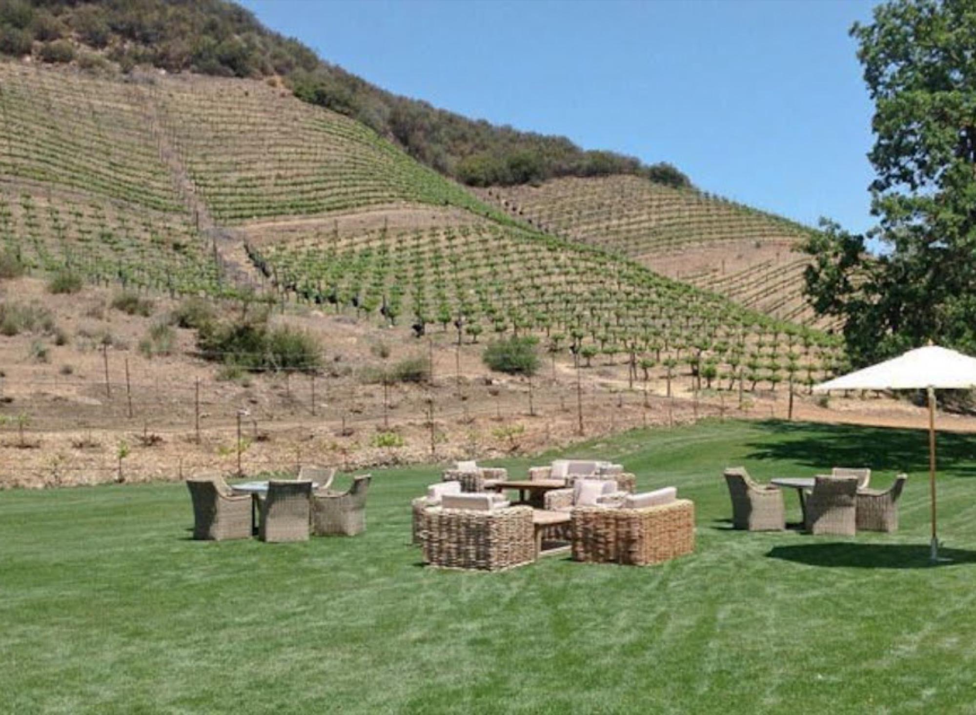 Vineyard Property — photo 7