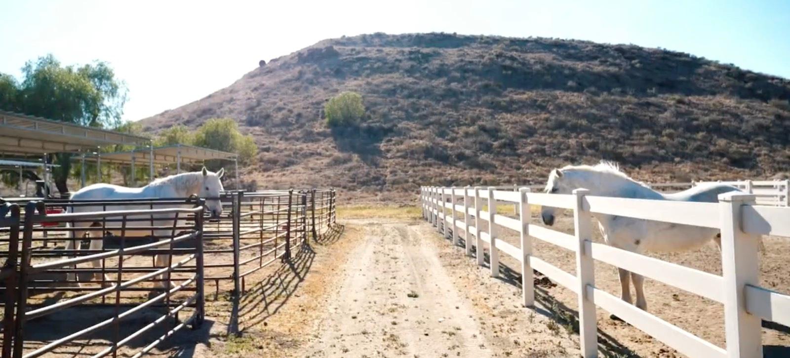 W Valley Ranch — photo 10