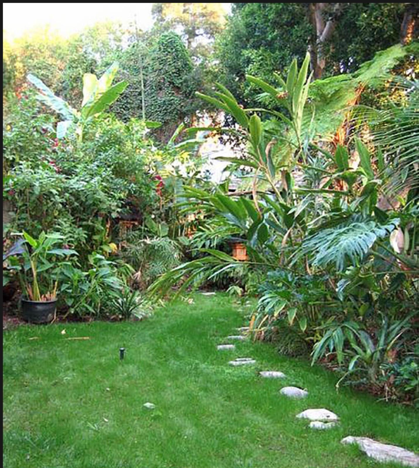 Y's Tropical House — photo 7