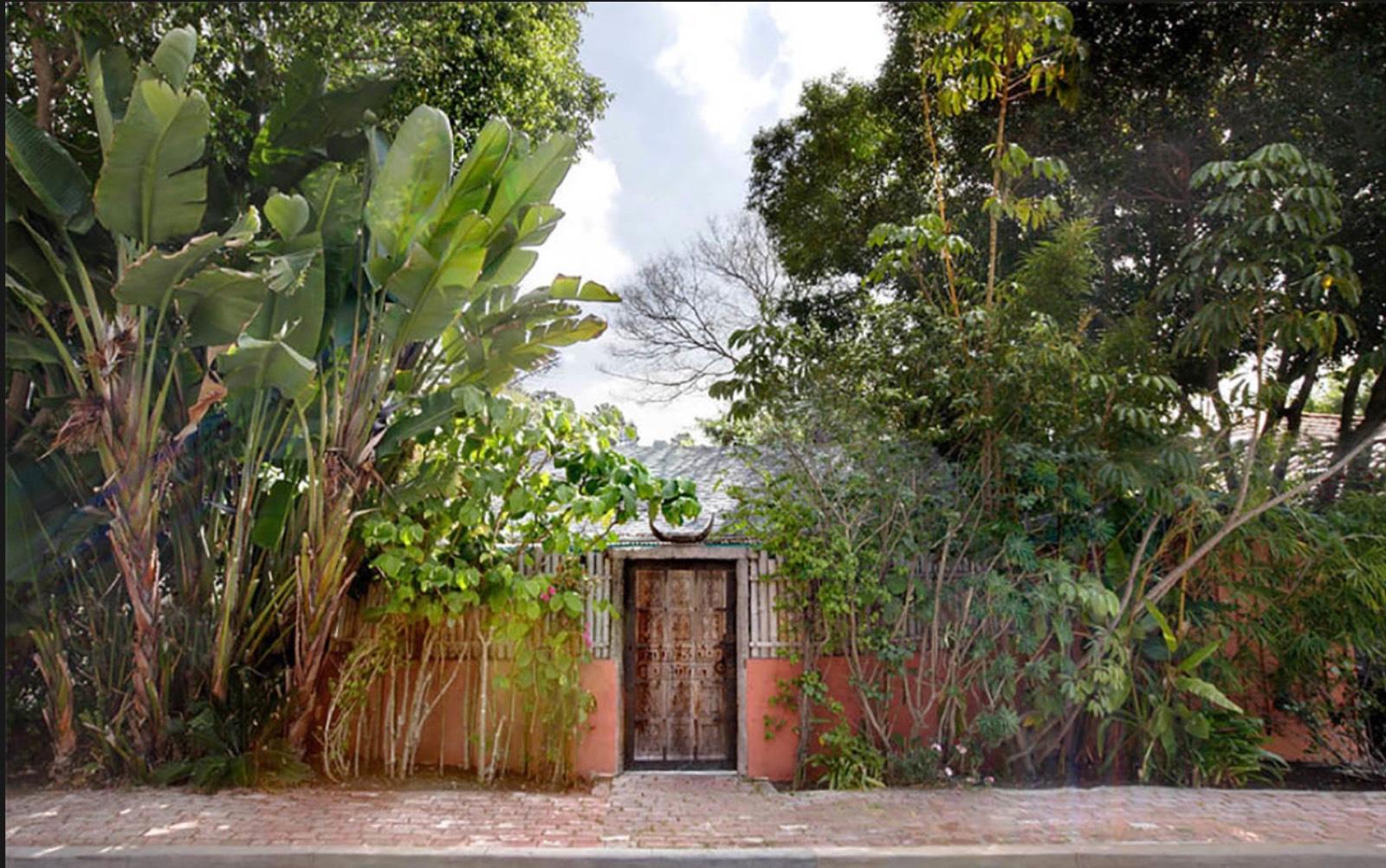 Y's Tropical House — photo 10